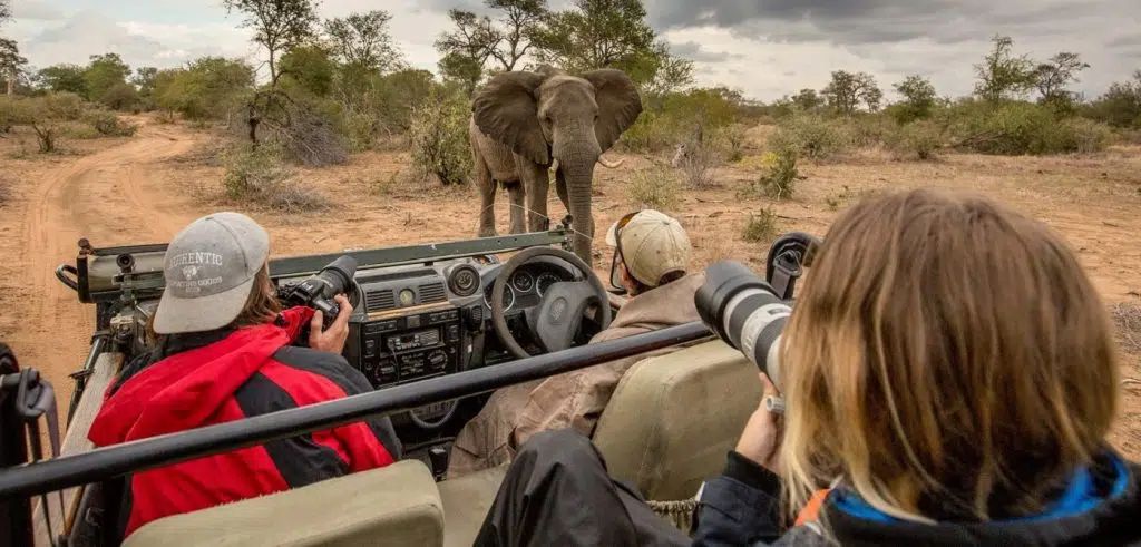 Female tourists ambushed en route to Kruger National Park