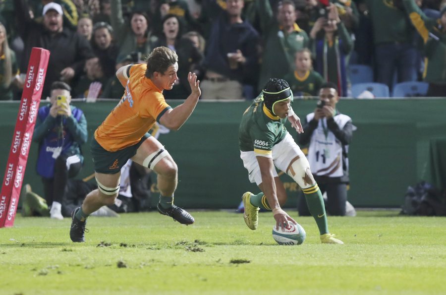 Kurt-Lee Arendse Springboks