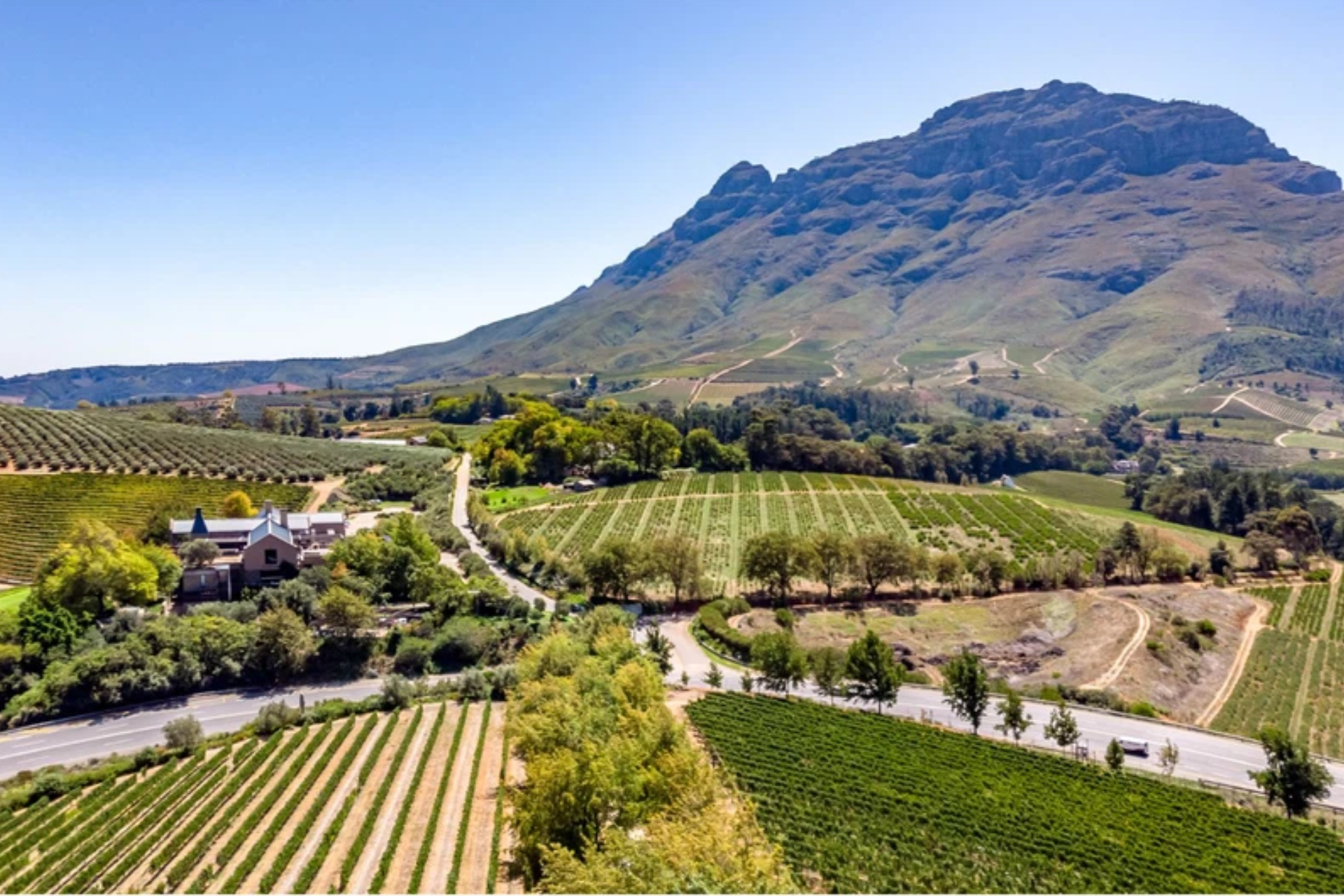 Western Cape vineyards