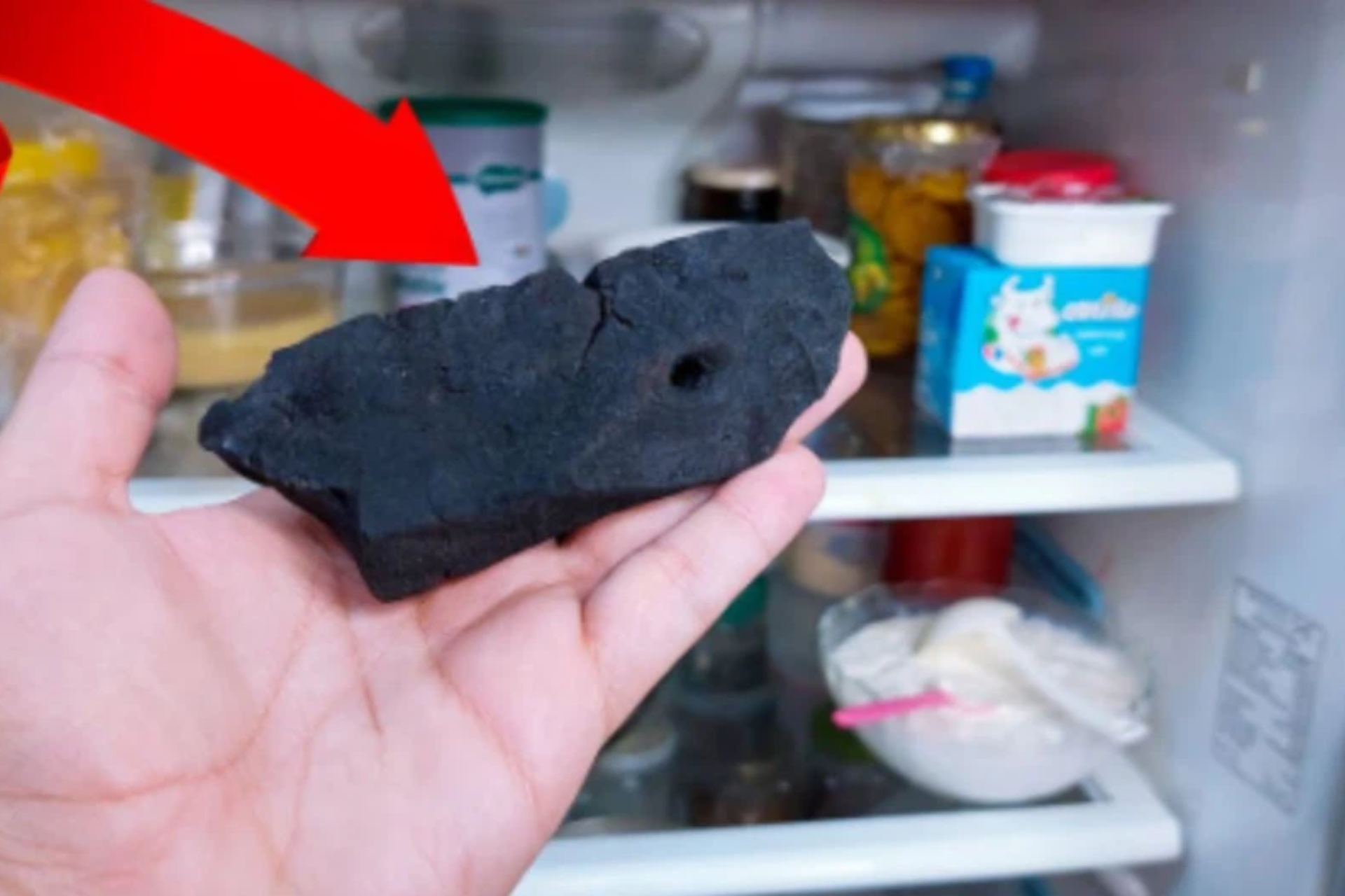 charcoal in fridge