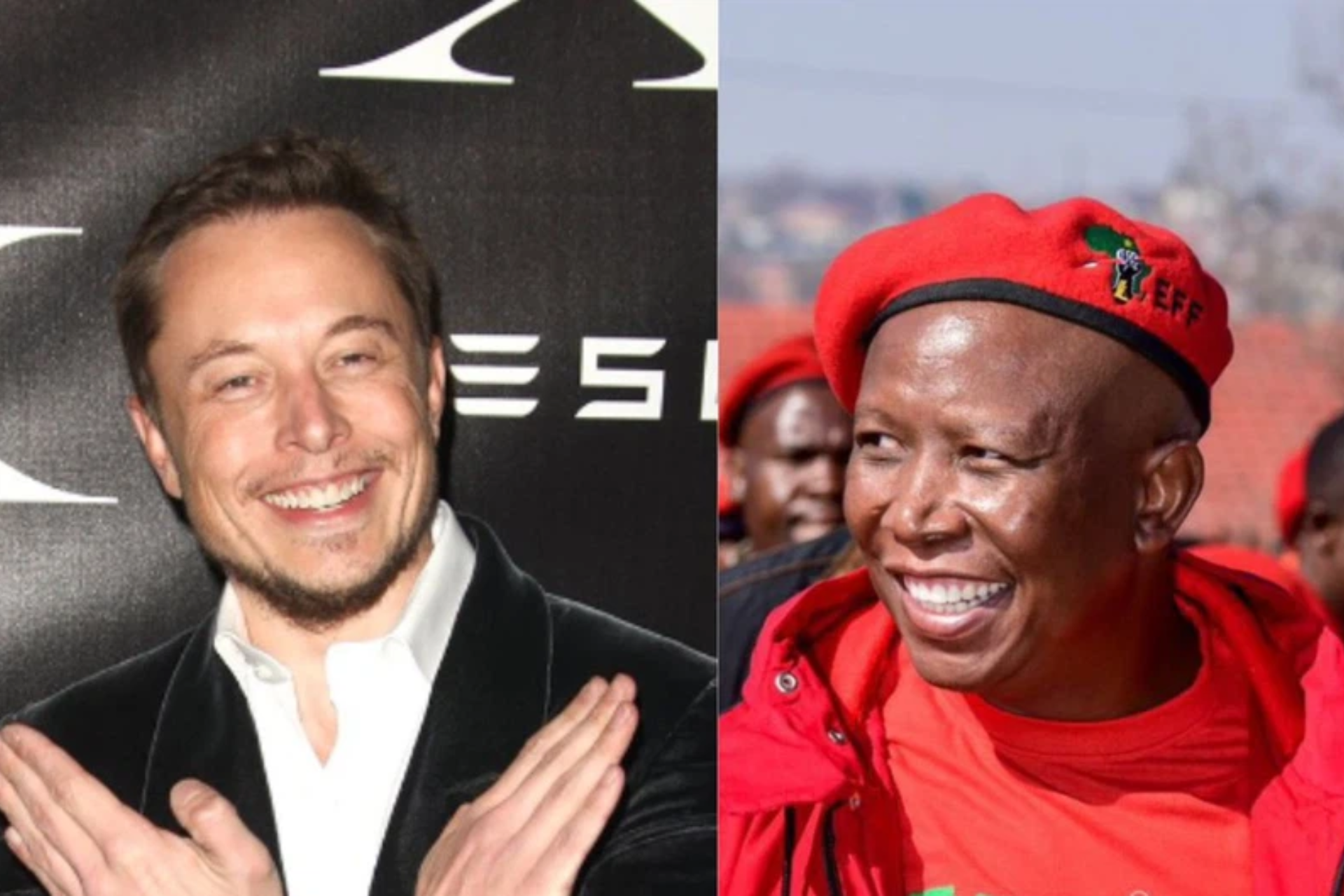 Elon Musk Julius Malema