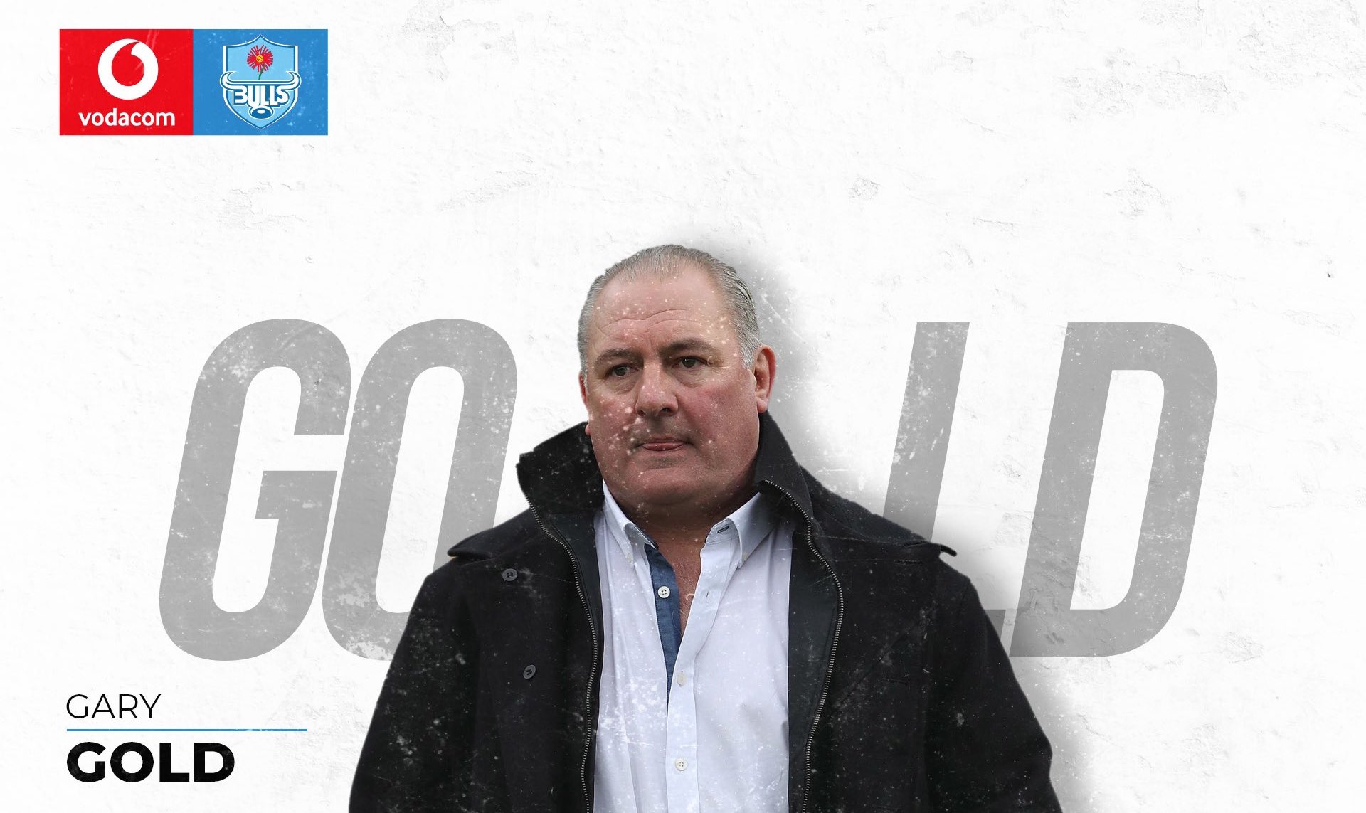 Gary Gold - Blue Bulls