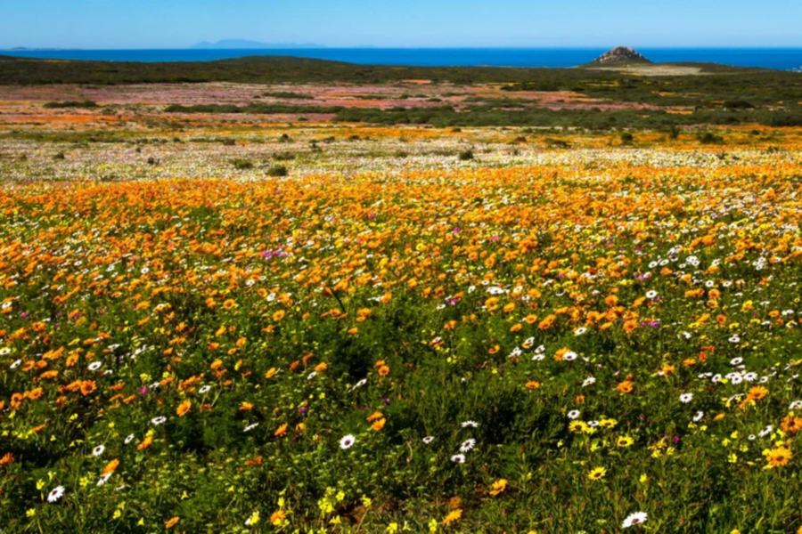 West Coast National Park