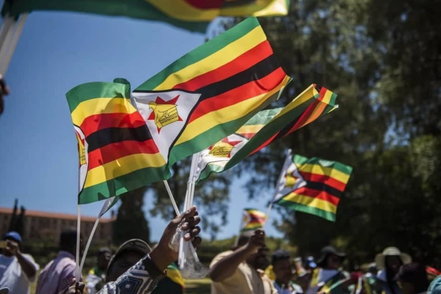 Флаг зимбабве фото. Zimbabwe флаг. Зимбабве флаг и столица. Белое меньшинство в Зимбабве.