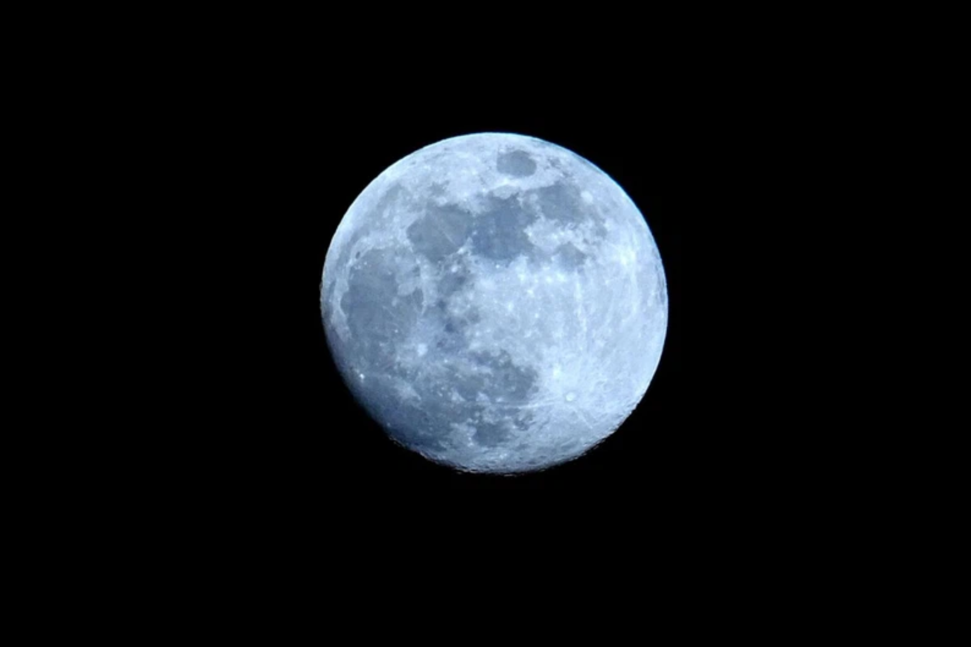 Springbok moon