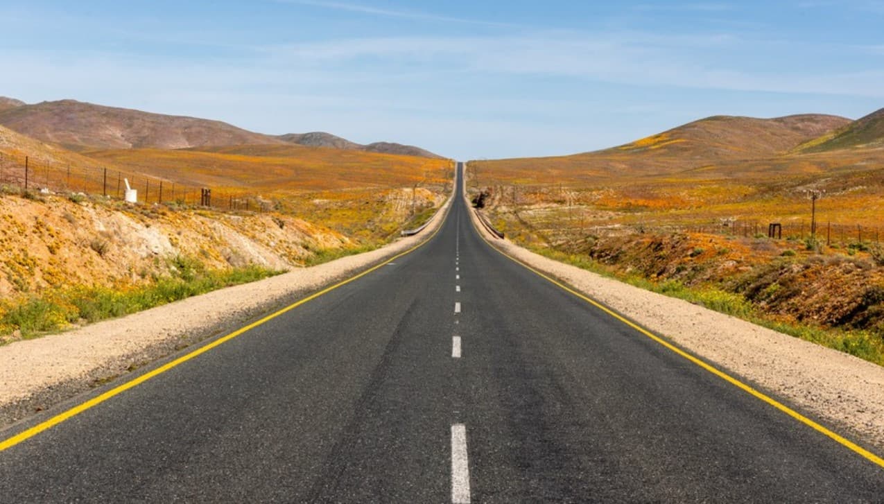 In photos: Namaqualand flowers bloom after rainy winter