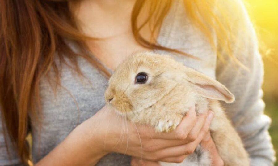 Evgeniy Goncharov photo/Shutterstock The evolutionary reasons humans love pets – and nine benefits of having one