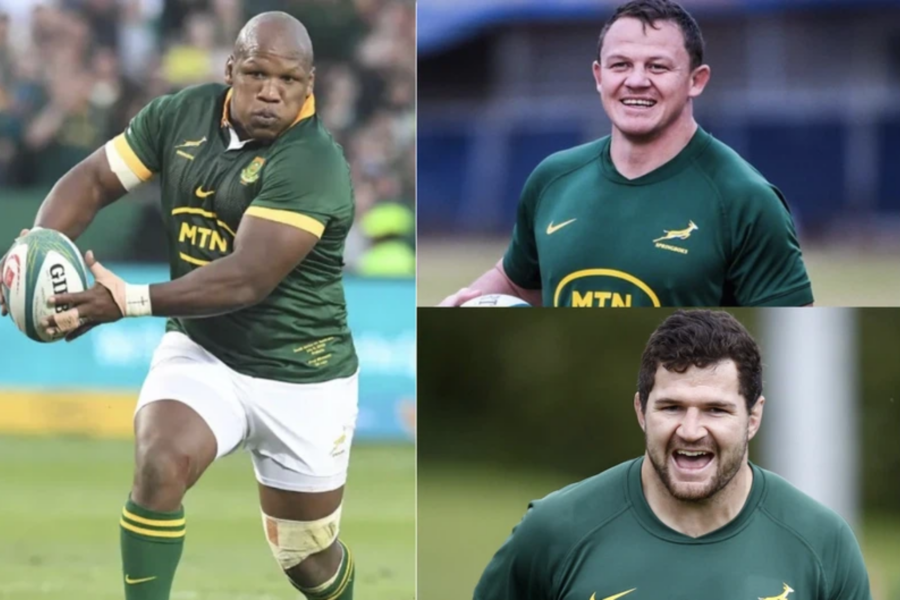 Springboks hooker