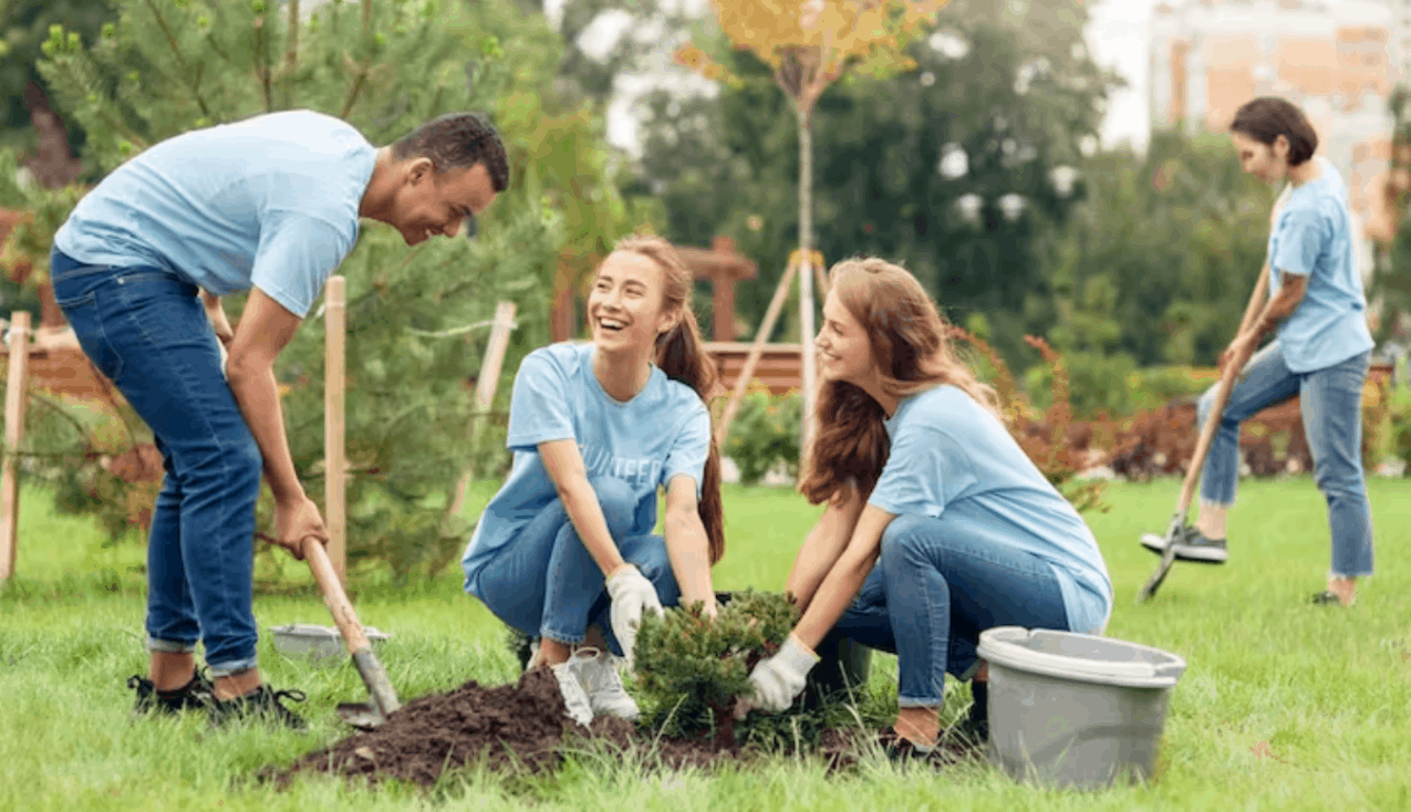 link between gardening and sharper minds