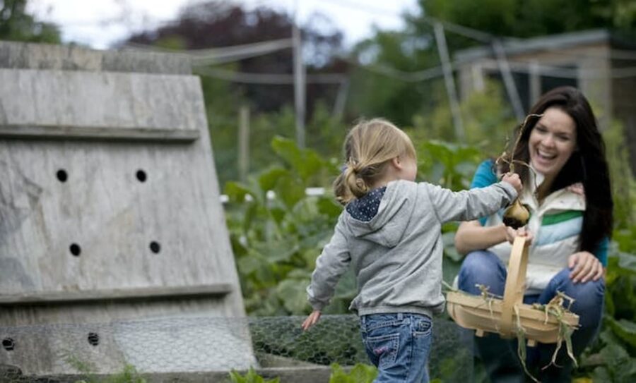 People who grow their own fruit and veg waste less food and eat more healthily, says research