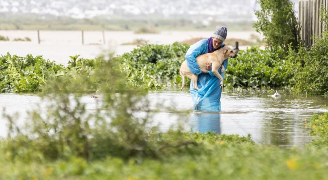 The Western Cape storm in pictures