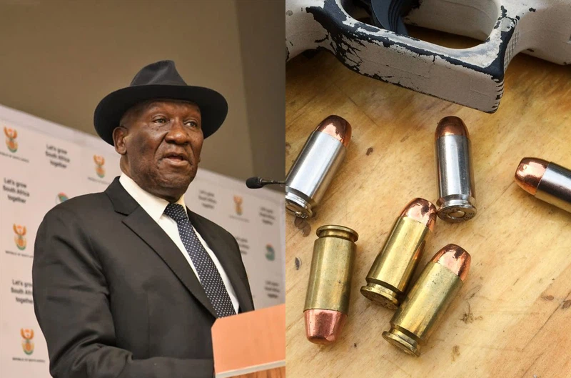 Bheki Cele stolen firearms SAPS