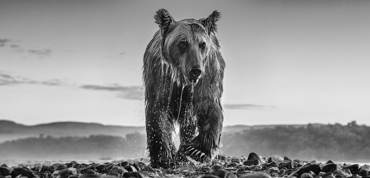 David Yarrow photo. Picture supplied