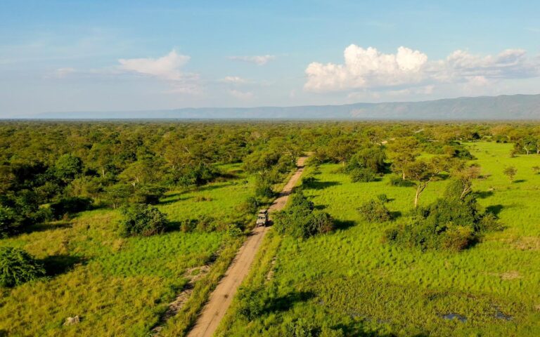 tourist killed african safari