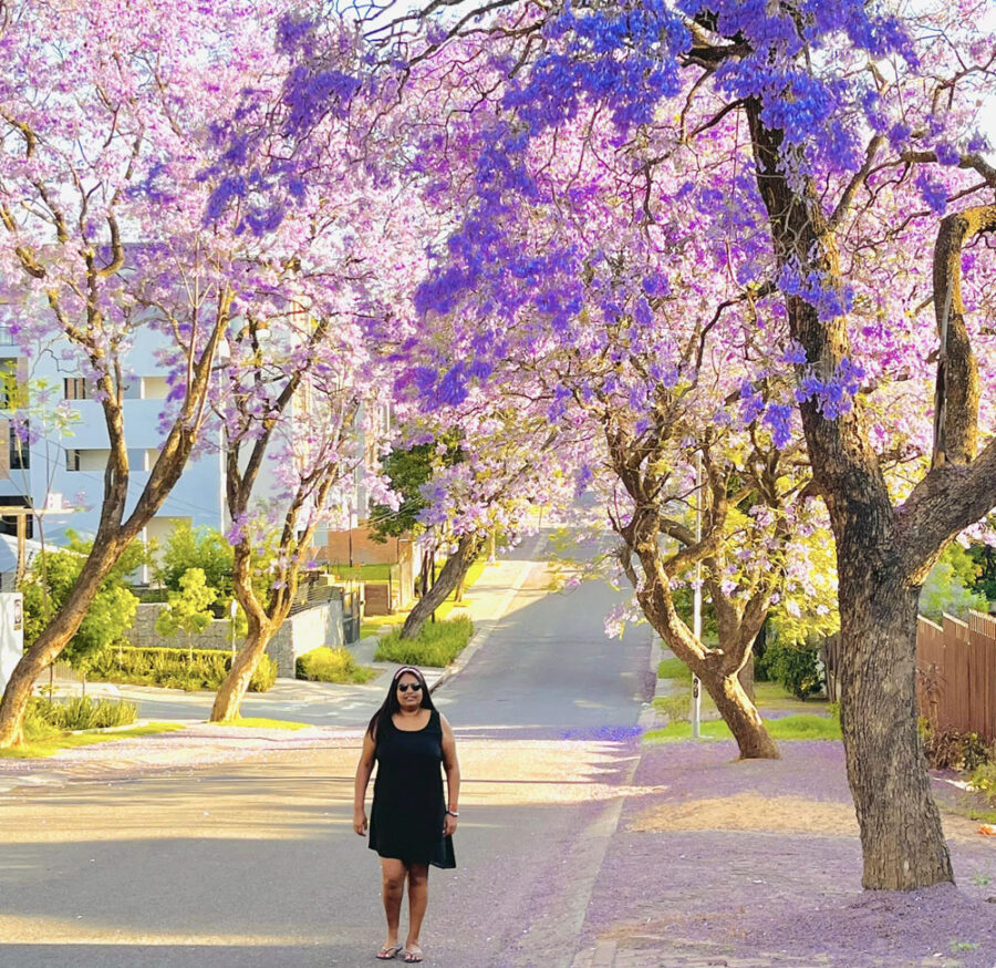 The streets of Joburg are pretty in purple right now as Jacaranda 