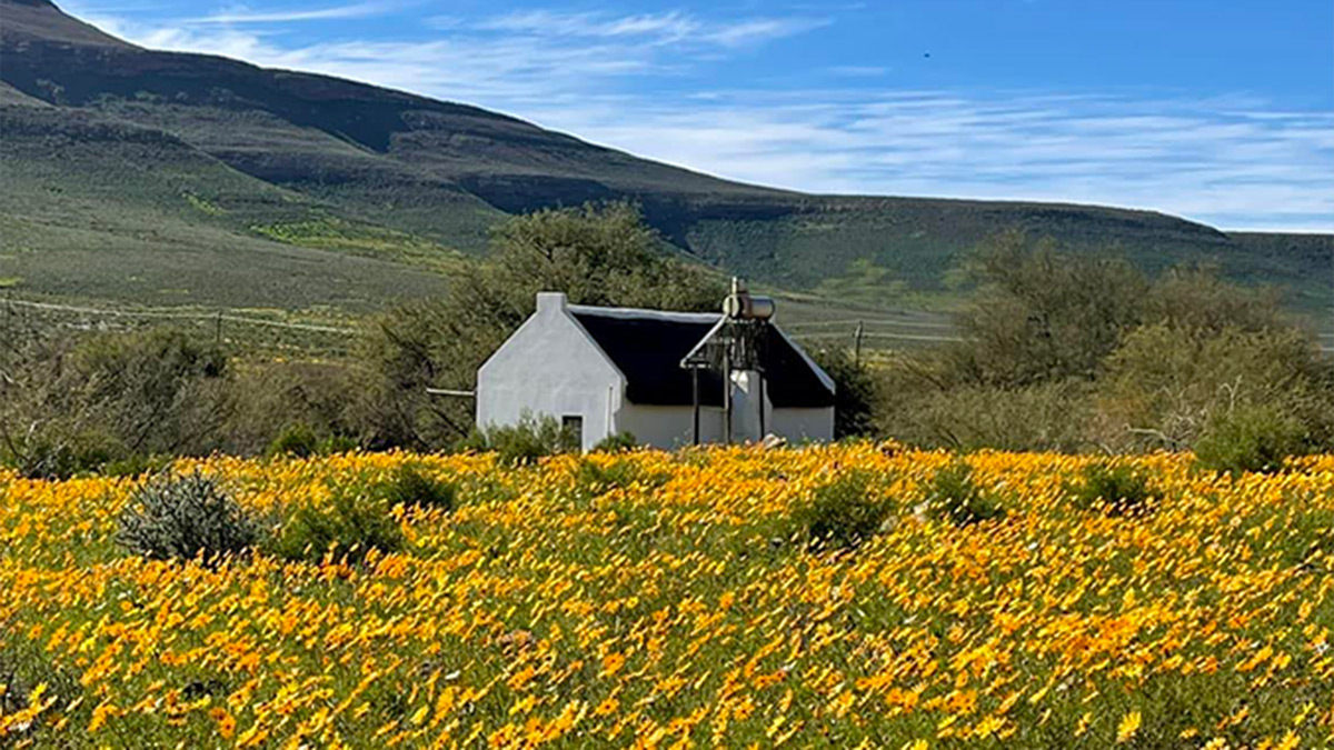 Lonely Planet Cottage, Enjo Nature Farm, South Africa