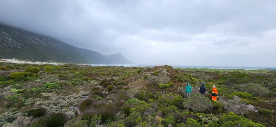 More nature reserves in the pipeline for Cape Town