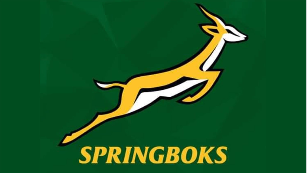 South Africans flood social media with Springbok profile pics