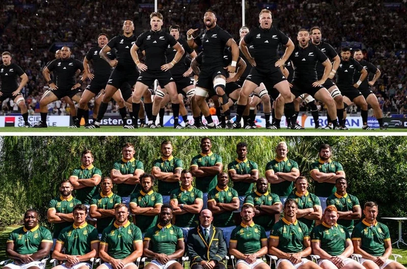 Rugby World Cup Final Springboks home tests