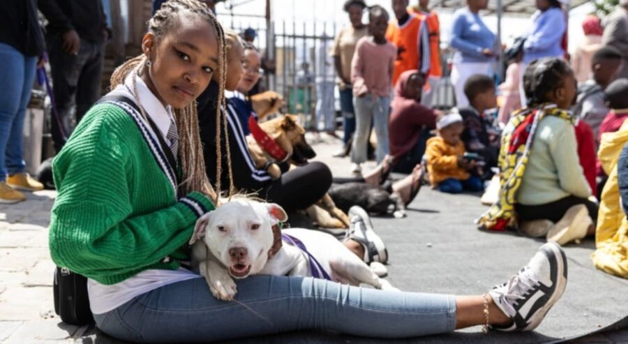 Khayelitsha animal clinic celebrates birthday with lively dog show