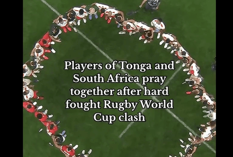 Springboks Tonga