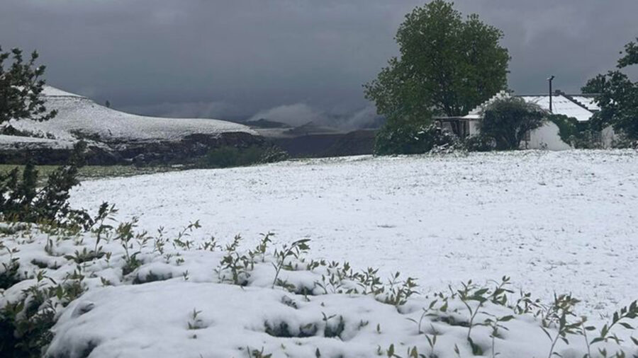 SNOW falls over Van Reenen's Pass in South Africa (and it's almost November!)
