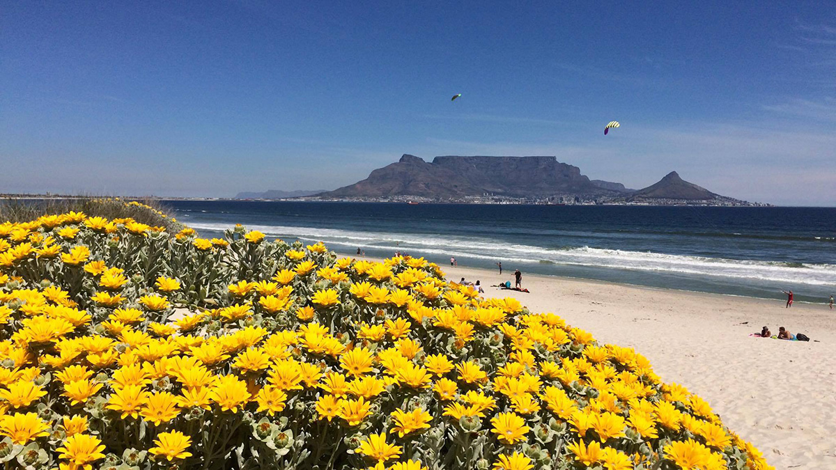 Table Mountain Western Cape 2019 national elections voting results