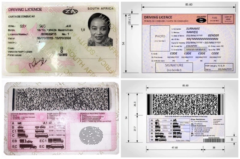 Driver's licence cards new vs old