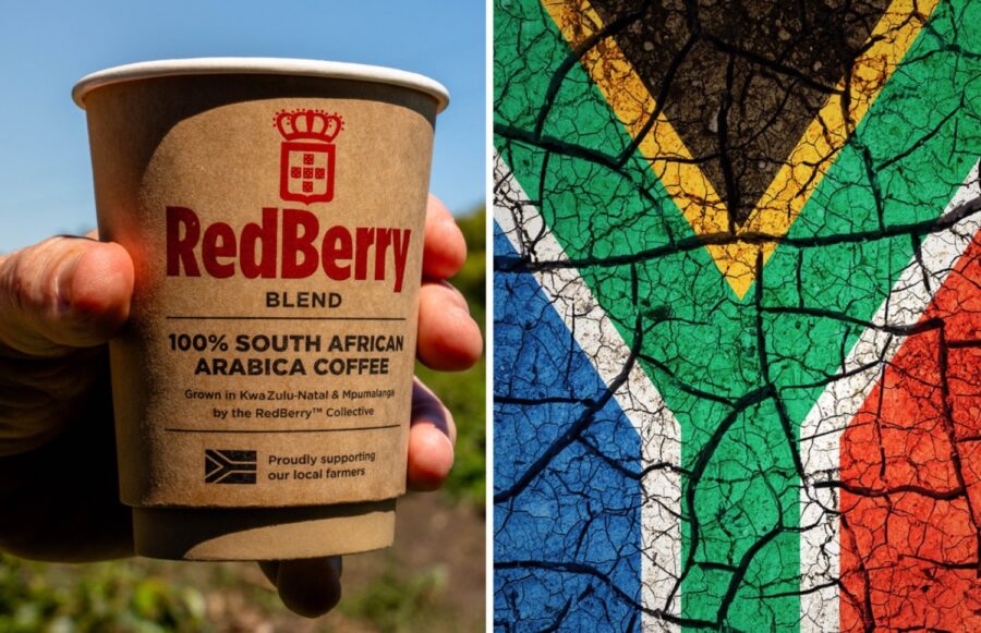 RedBerry Vida e Caffe