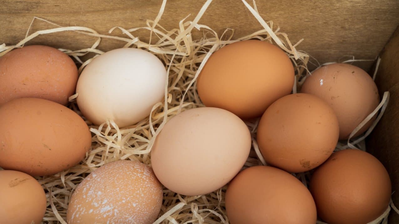 Is a RAW EGG safe to eat?