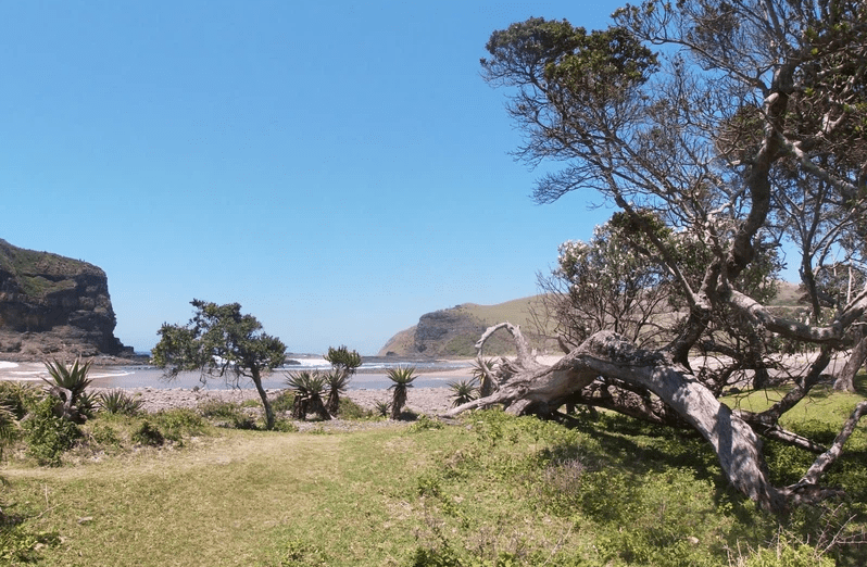 Wild Coast special spots