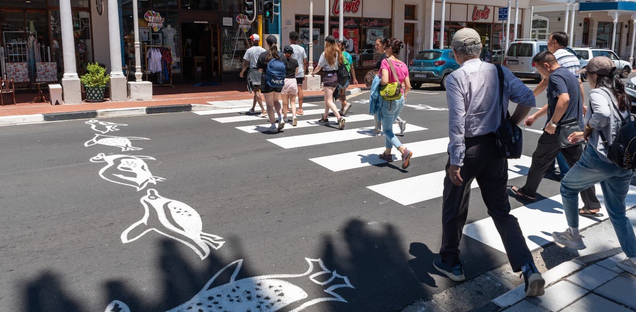Simon’s Town gets a newly painted penguin pedestrian crossing