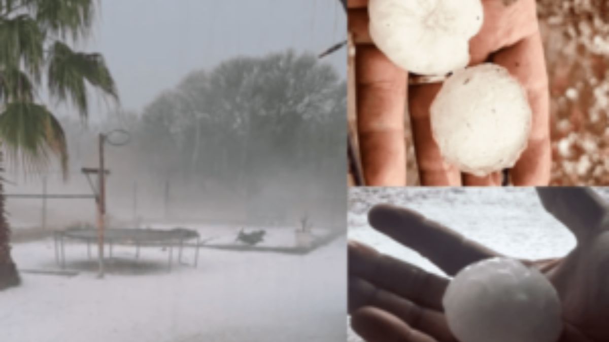 South Africa daily weather forecast