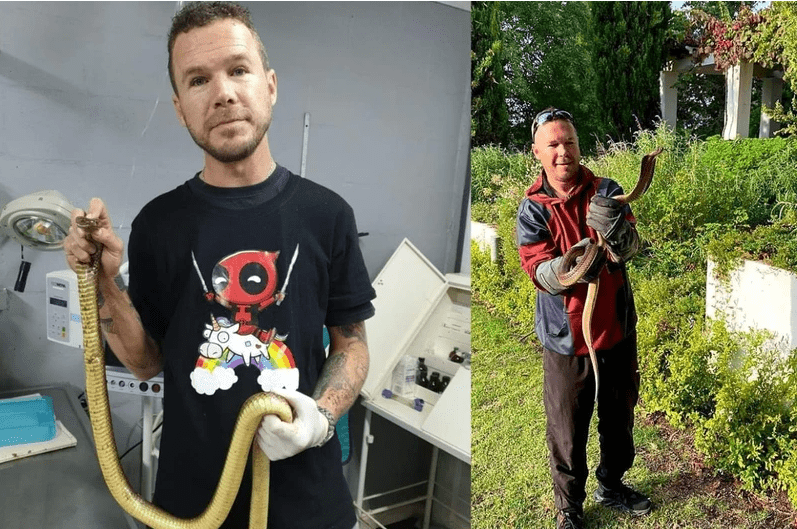 stellenbosch snake catcher dies