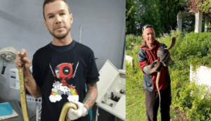 Well-known snake catcher dies after Cape Cobra bite - SA People