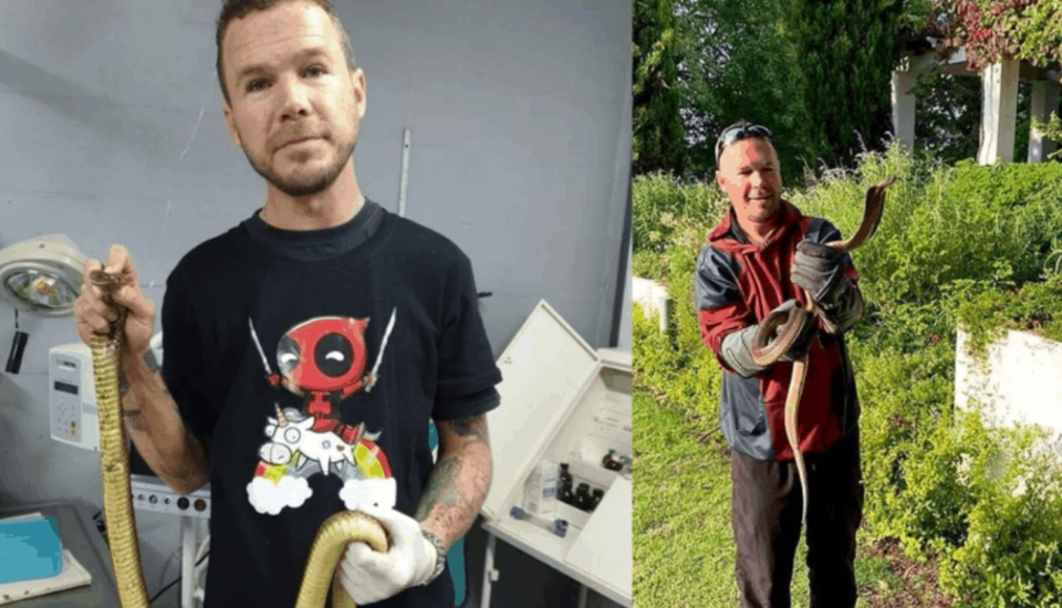 Well-known snake catcher dies after Cape Cobra bite - SA People