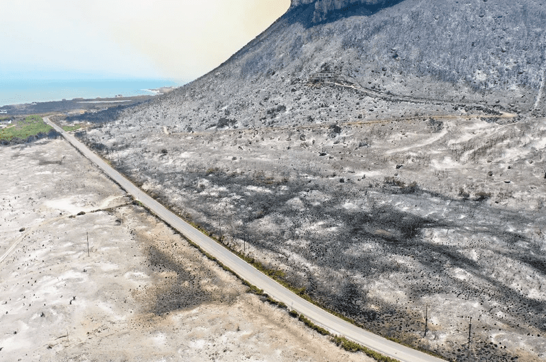 Pringle bay fire