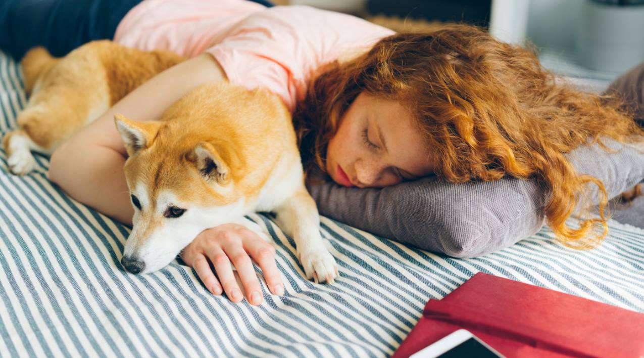 Should your dog’s sleeping habits match yours?