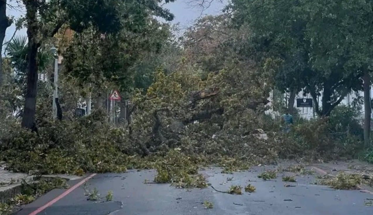 cape storm damage