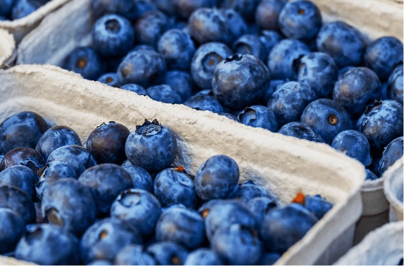 sa blueberries in high demand