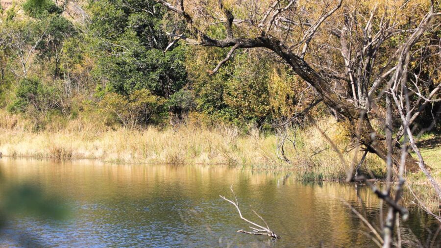 drakensberg