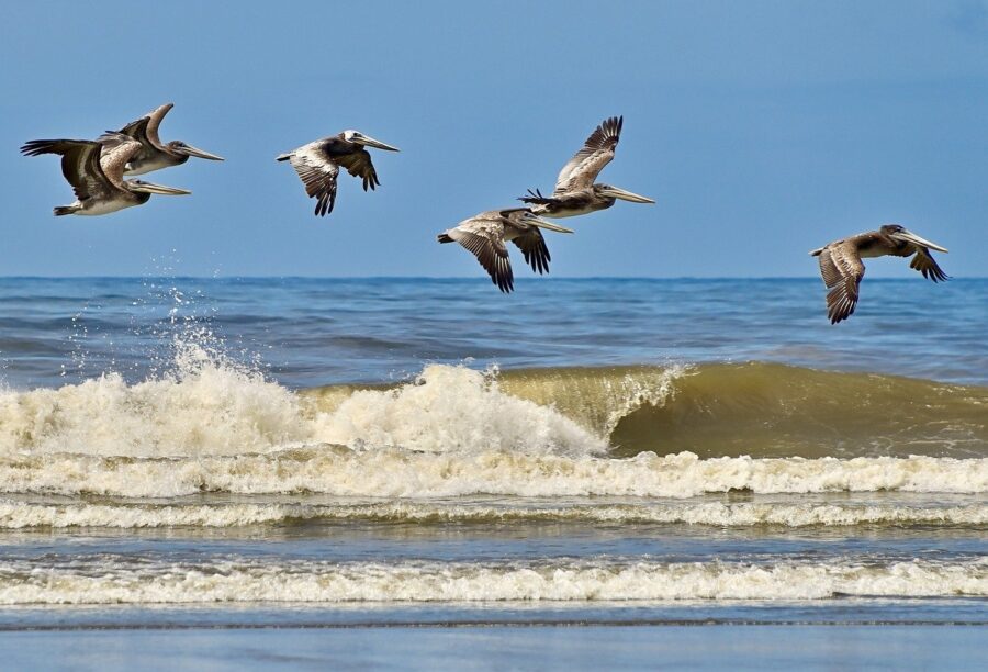 Western Cape beach named one of the best in the world.