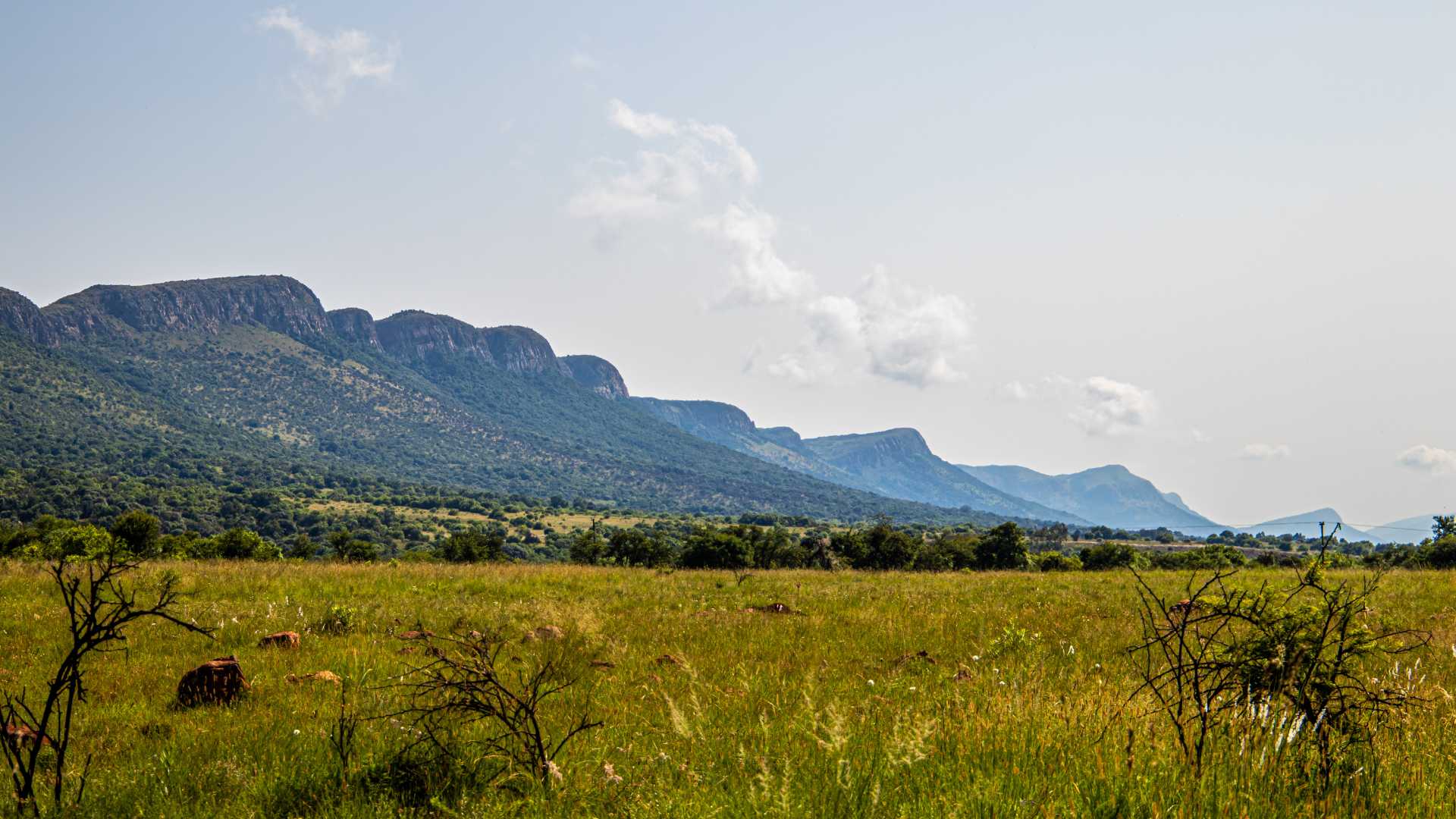 mountains