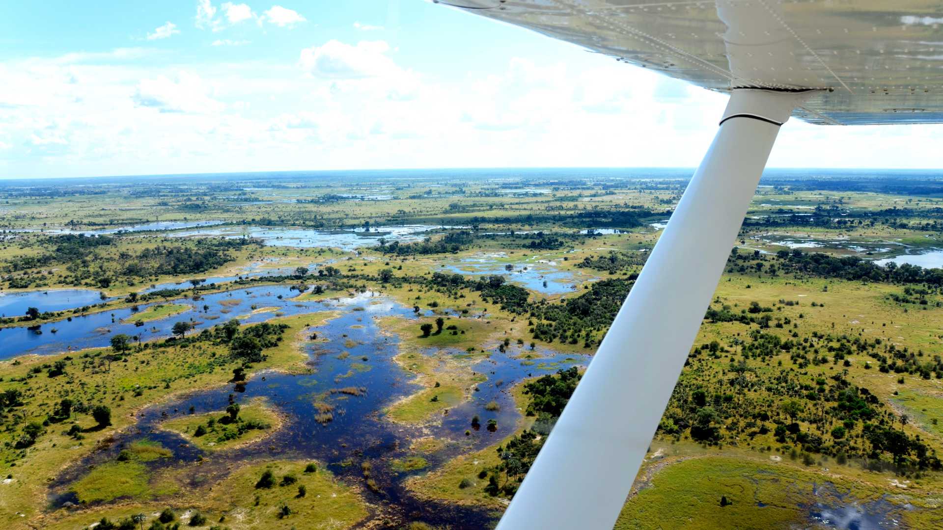 kenya & tanzania wildlife safari