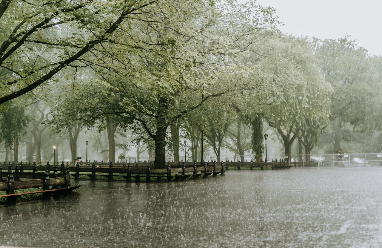 July Cape Town rainfall breaks record.