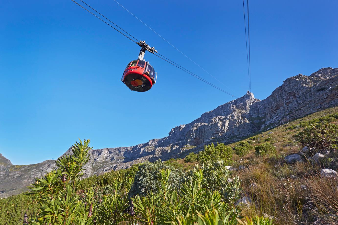 Table Mountain