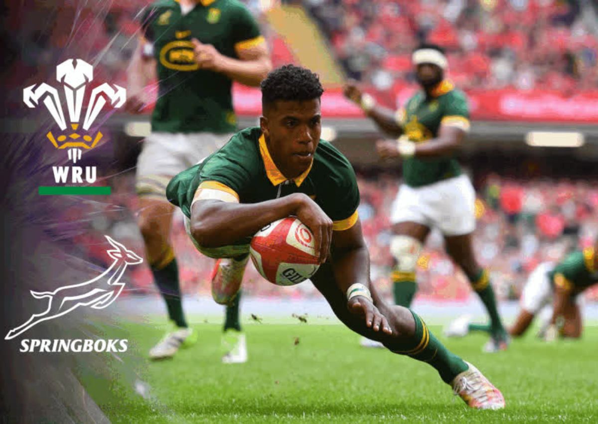 Springboks on the verge of adding the Rugby Championship title to their Rugby World Cup crown