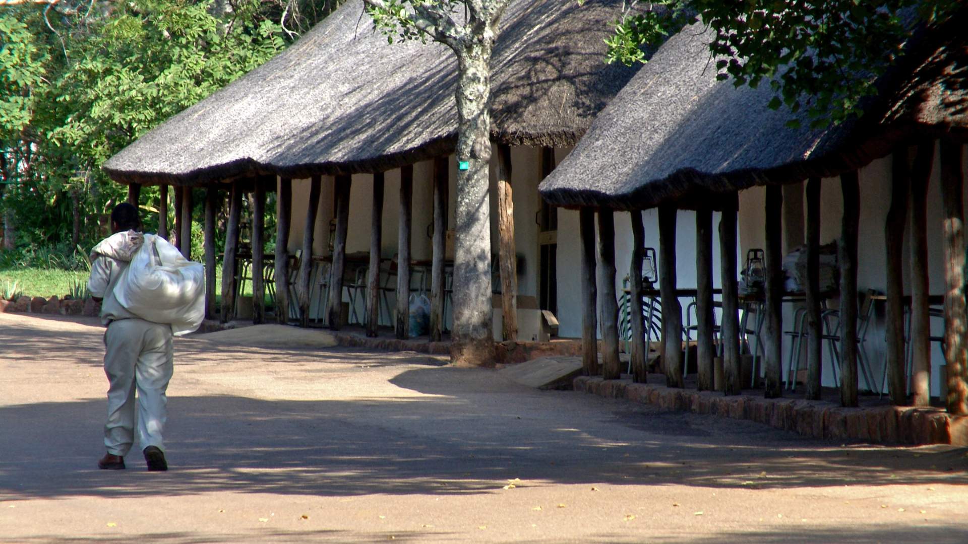 kruger national park