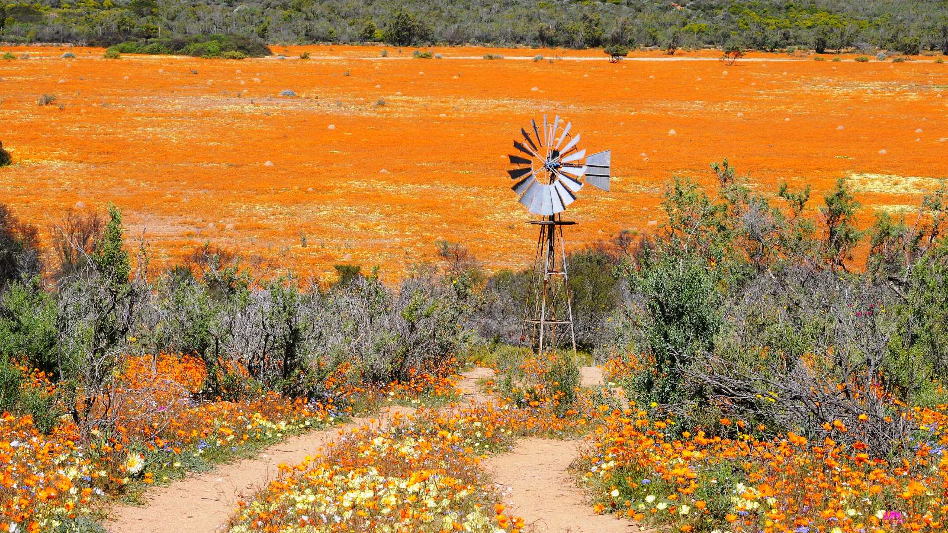 northern cape