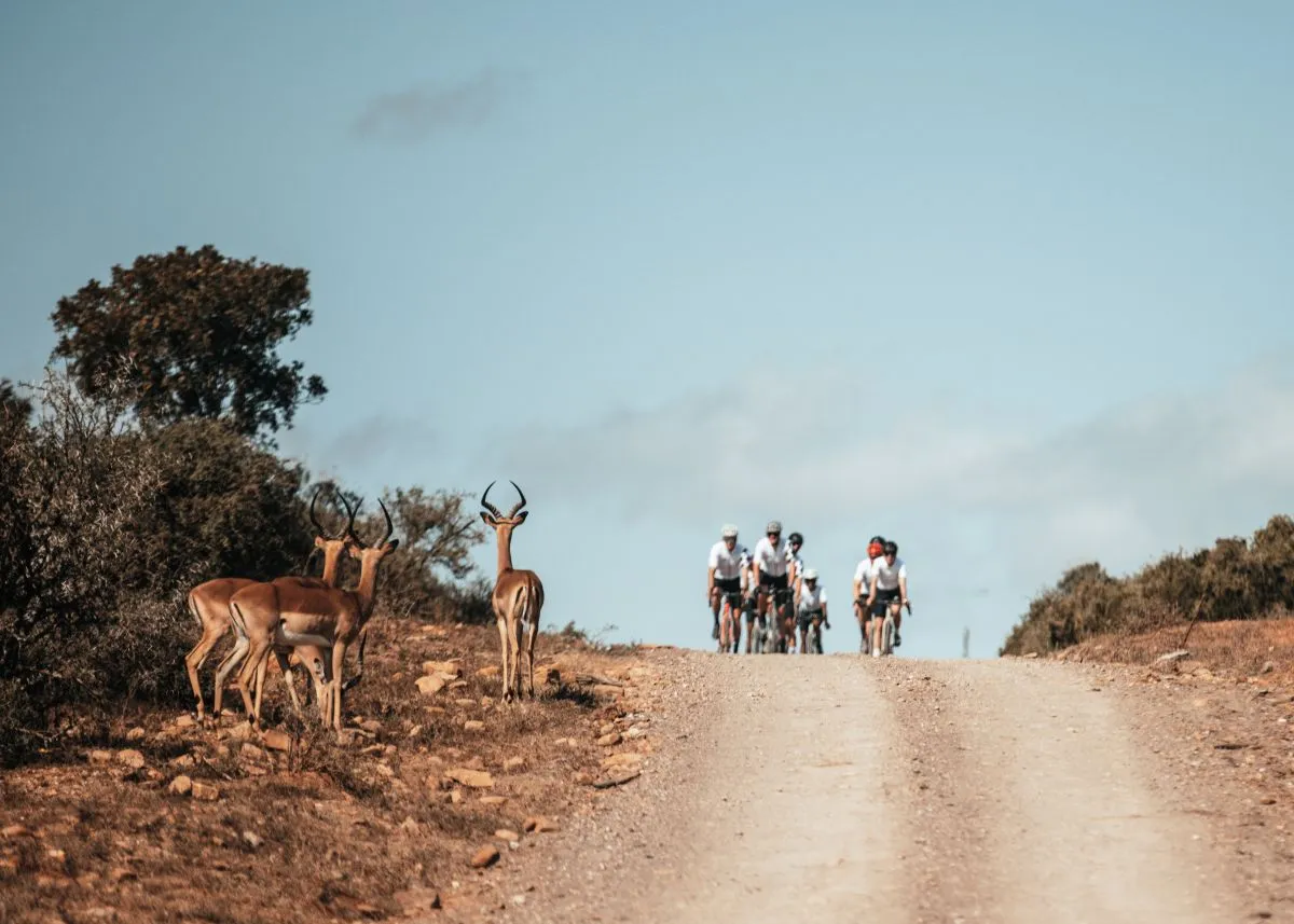 gravel race